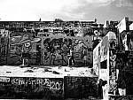 Click to see YP1250306.JPG