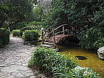 Click to see YP1260459.JPG