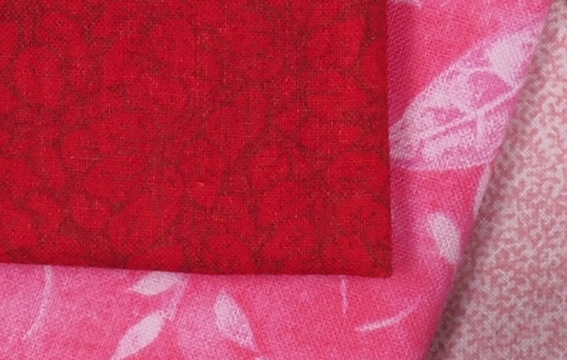 Olympus PEN-F - 100% crop from High Res Shot Mode image