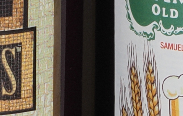 Olympus PEN-F - 100% crop from High Res Shot Mode image