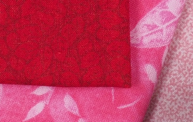 Olympus PEN-F - 100% crop from High Res Shot Mode image