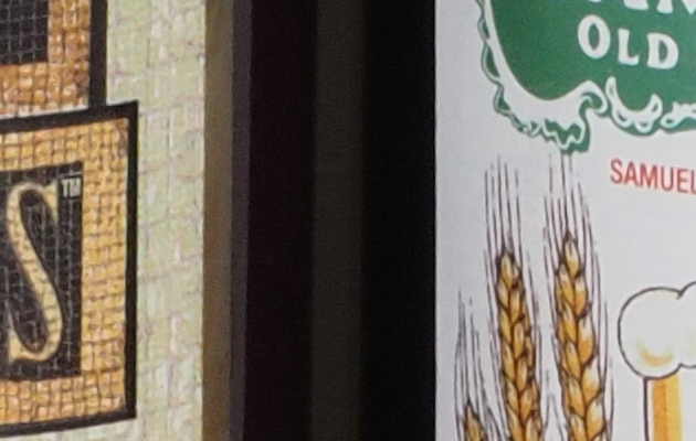 Olympus PEN-F - 100% crop from High Res Shot Mode image