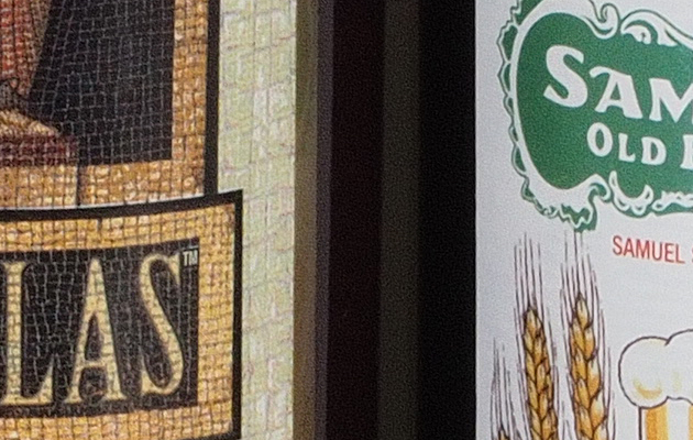 Olympus PEN-F - 100% crop from High Res Shot Mode image