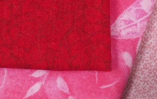 Olympus PEN-F - 100% crop from High Res Shot Mode image