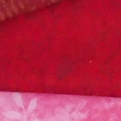 100% crop from Olympus PEN-F test image taken at ISO 1600