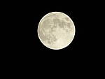 Click to see Y-SP100-4-MOON.JPG