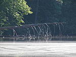 Click to see Y-TCON-P5030001.JPG