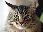 Click to see Y-TCON-P5030029.JPG