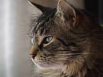 Click to see Y-TCON-P5030032.JPG