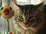 Click to see Y-TCON-P5030057.JPG
