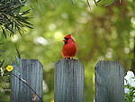 Click to see Y-TCON-P5030087.JPG