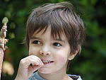 Click to see Y-TCON-P5030125.JPG