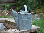 Click to see Y-TCON-P5030187.JPG