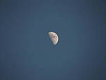 Click to see Y-TCON-P5070049.JPG