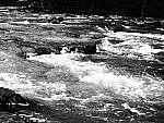 Click to see YAP1190105.JPG