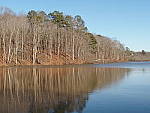 Click to see YZL1170061.JPG
