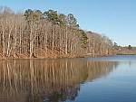 Click to see YZL1170063.JPG