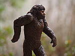 Click to see Y_BK_28_P3030391.JPG