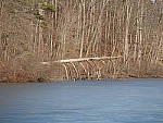 Click to see Y_WTT_4_1250152.JPG