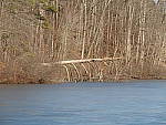 Click to see Y_WTT_56_1250153.JPG