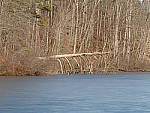 Click to see Y_WTT_8_1250154.JPG