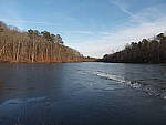 Click to see Y_WTW_NDF_1250160.JPG