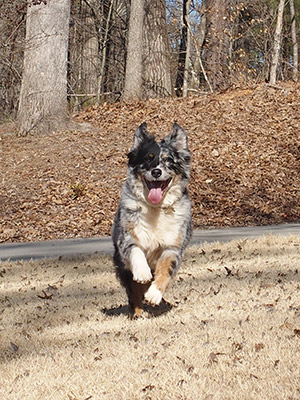 Olympus Stylus 1 review - burst mode