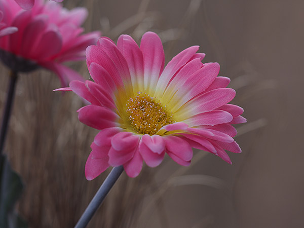 Olympus Stylus 1 review - lens test E-M1