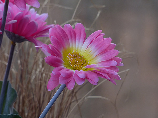 Olympus Stylus 1 review - lens test FZ200