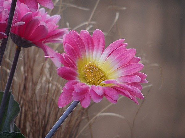 Olympus Stylus 1 review - lens test