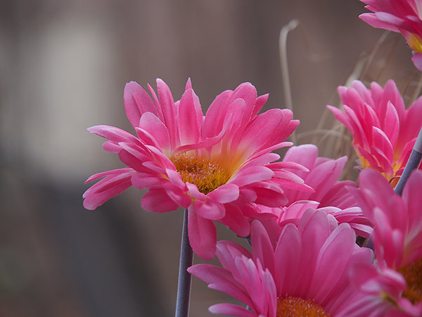 Olympus Stylus 1 review - lens test E-PL5 14-150mm