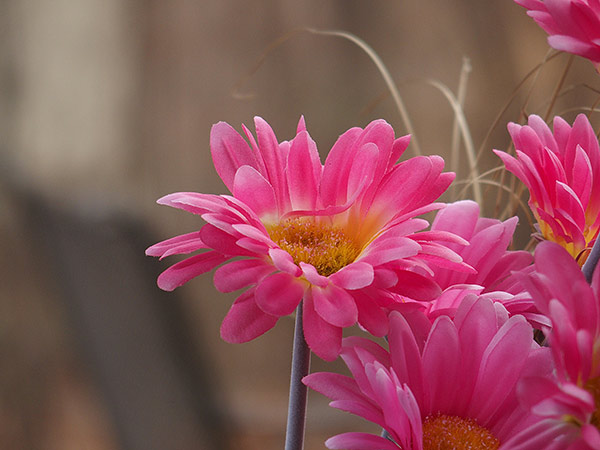 Olympus Stylus 1 review - lens test Stylus 1