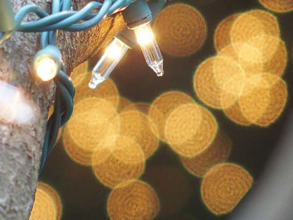 Olympus Stylus 1 Review --  sample onion ring bokeh