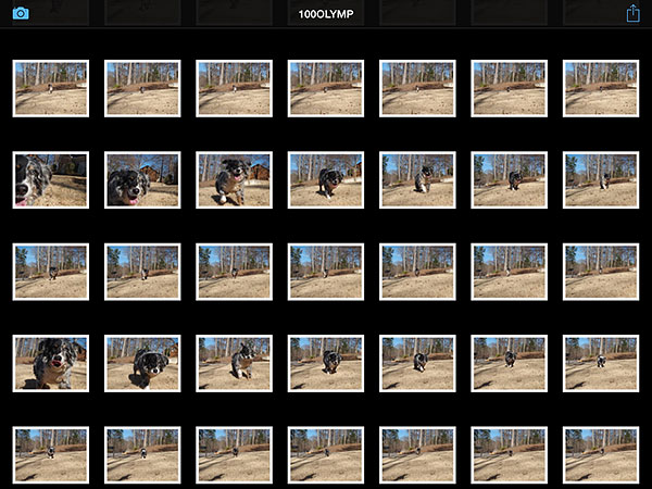 Olympus Stylus 1 Review -- Wi-Fi review screen