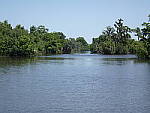 Click to see YP5150202.JPG