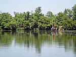 Click to see YP5150207.JPG