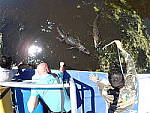 Click to see YP5150260.JPG