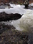 Click to see YP2030054.JPG
