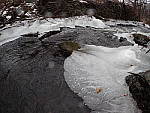 Click to see YP2030074-FCON.JPG