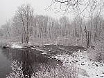 Click to see YP2050139.JPG