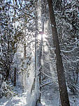 Click to see YP2060242-MOD.JPG