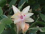 Click to see YP2120022-ISO-3200.JPG