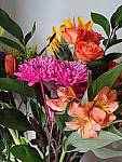 Click to see YP2120026-FX-Vivid.JPG