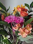 Click to see YP2120028-FX-Muted.JPG