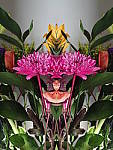 Click to see YP2120031-FX-Reflection.JPG