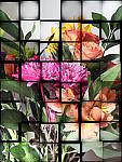 Click to see YP2120032-FX-Fragmented.JPG