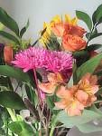 Click to see YP2120034-FX-SoftFocus.JPG