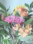Click to see YP2120035-FX-PaleLight.JPG