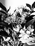 Click to see YP2120036-FX-GrainyFilm.JPG