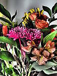Click to see YP2120039-FX-Dramatic.JPG